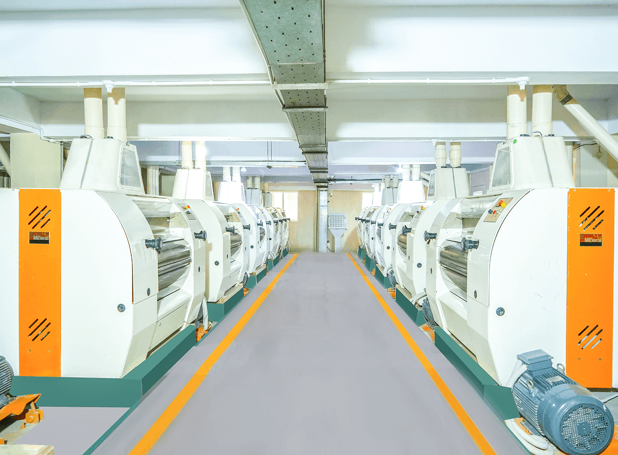 Export Processing Zone Flour Mill