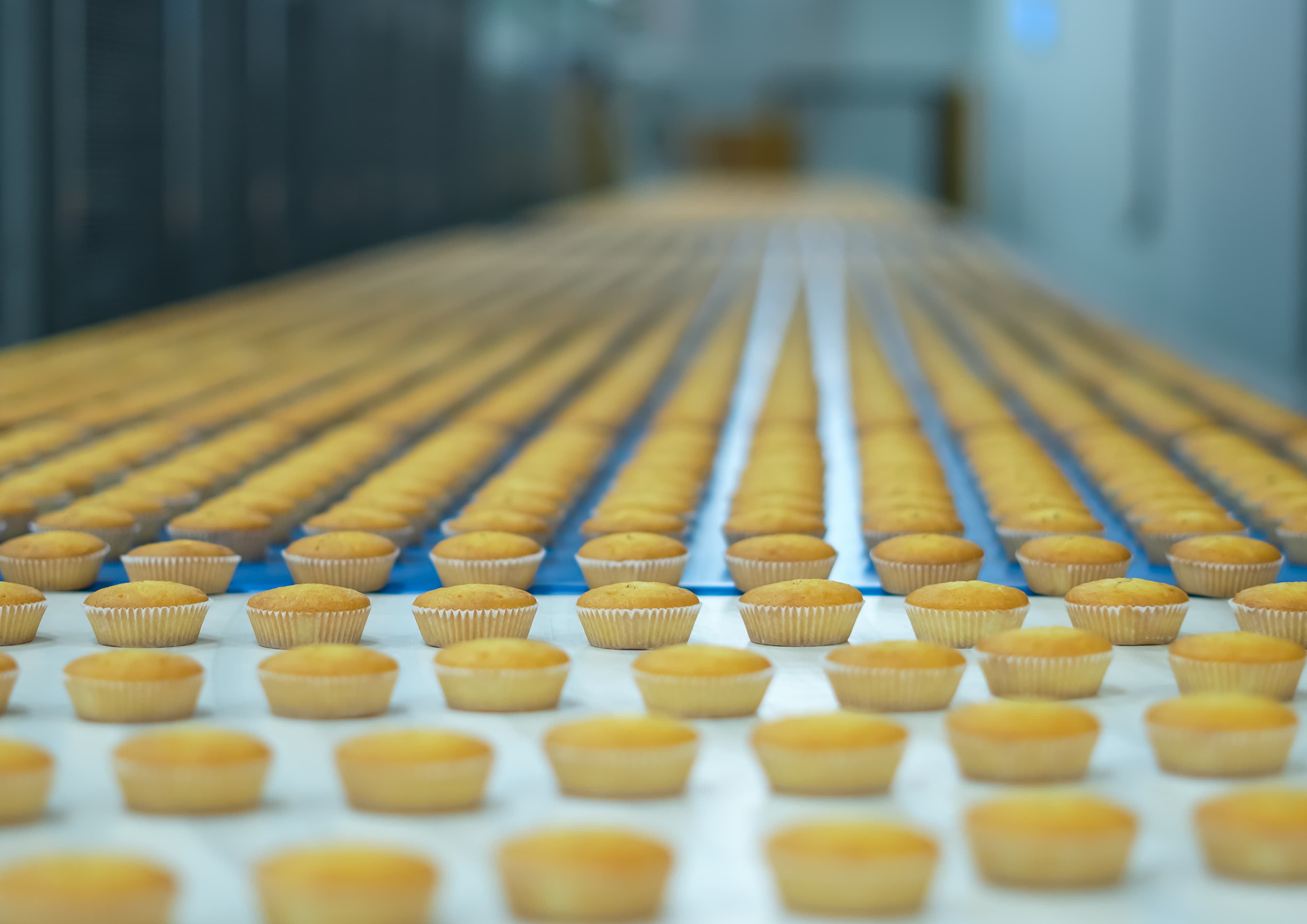 Hub Confectionery Factory