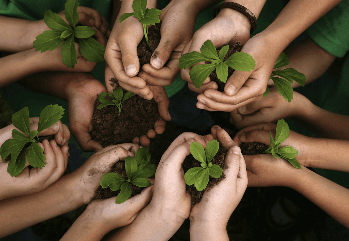People, Planet, Profit